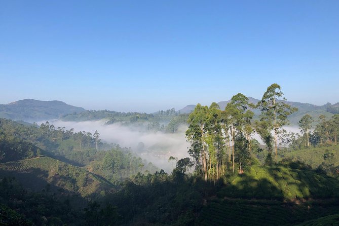 Mountain Hiking in Munnar (half day) By Munnar Info - The climb from tea gardens to the ridge