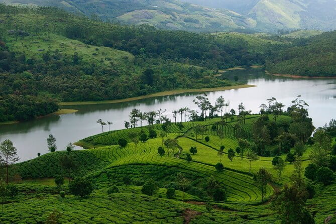 Multi Day Private Guided Tour of Kerala from Kochi by Car - Day 5: Alleppey and a night on the backwaters