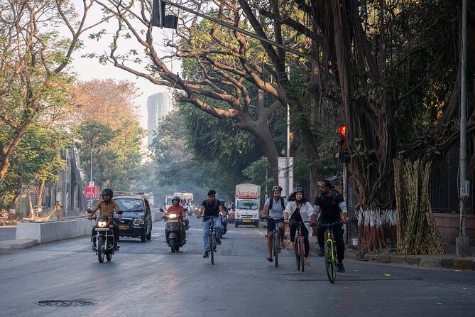 Mumbai Bicycle Tour - Feeding Cows at Bombay Panjrapole