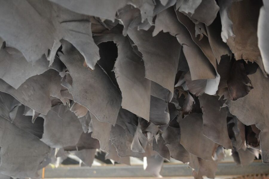 Mumbai: Dharavi Slum Tour with Dhobi Ghat (Open-Air Laundry) - Who should book this walk?