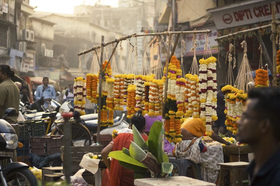 Mumbai: Early Morning Bicycle Tour - Five things to know before you book