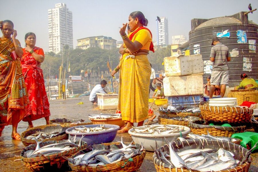 Mumbai: Full-Day Private Sightseeing Tour - The optional museum stop