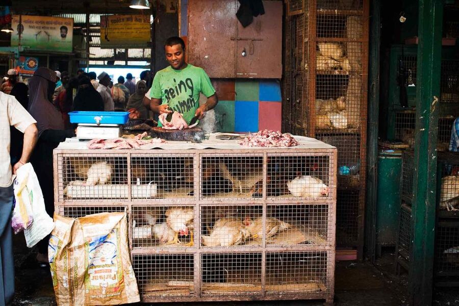 Mumbai: Local Transport & Dabbawallah Tour - Dhobi Ghat from the outside