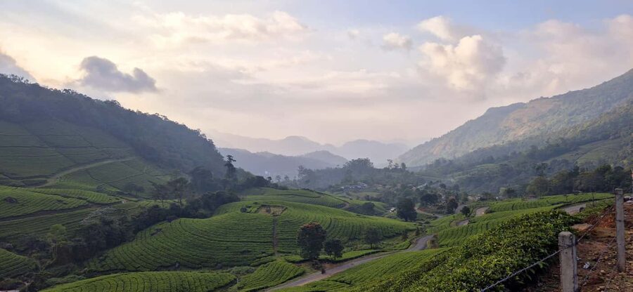 Munnar: Anakulam Jeep Safari with Waterfall and Elephant - Viriparai Waterfalls: refreshing, but check the fees