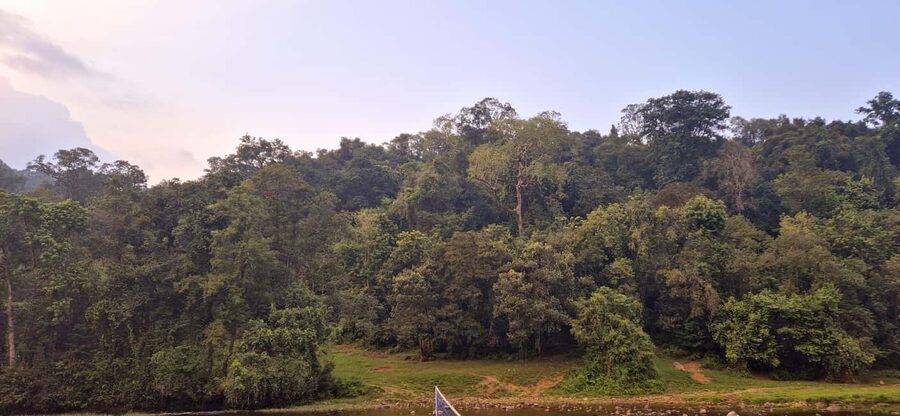 Munnar: Anakulam Jeep Safari with Waterfall and Elephant - Perumbankuthu Waterfalls and the Hanging Bridge