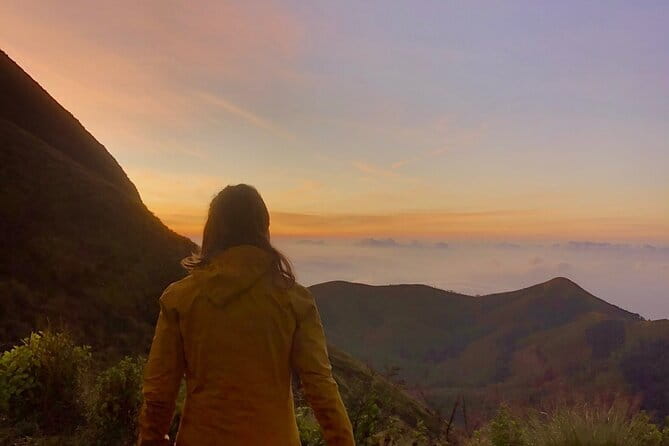 Munnar Daily Tour - Key points to know before booking
