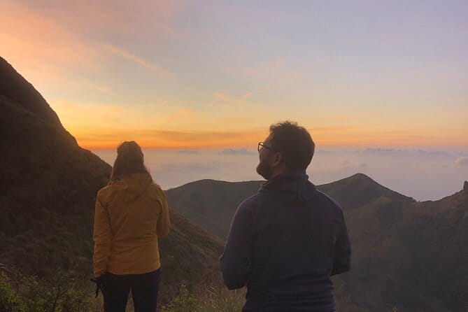 Munnar Daily Tour - Day one: tea plantations, viewpoints, and the road to camp