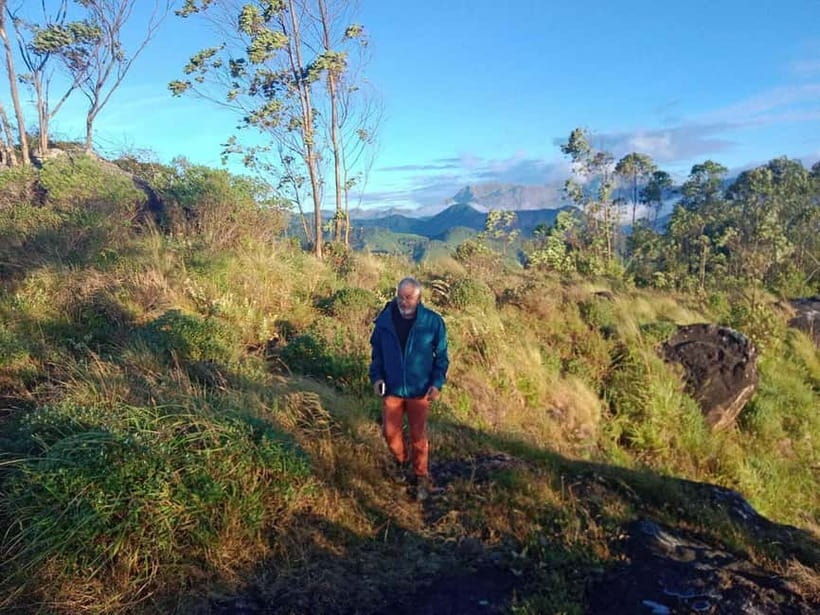 Munnar: Half day Guided Trek - Why Munnar’s hills are worth walking