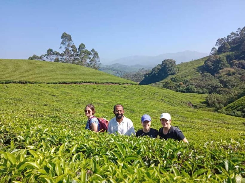 Munnar: Half day Guided Trek - Tea plantations, forests, and changing views
