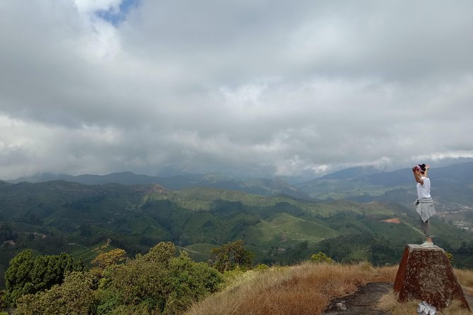 Munnar Mountain Trekking - Tea Gardens First, Then A Wider View Of Munnar