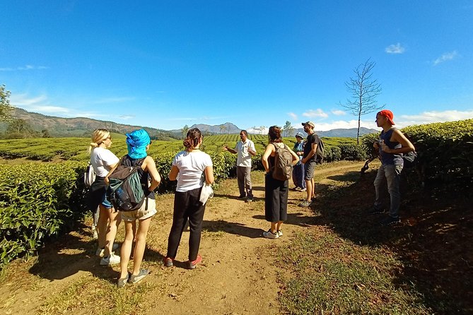 Munnar Mountain Trekking - Rain Forest And Close Nature Views