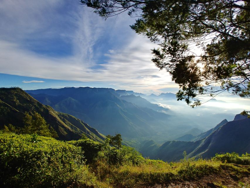 Munnar Private Day Trip - Mattupetty Dam and Munnar’s high-country views