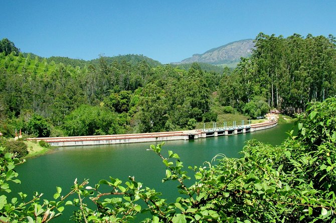 Munnar Site-seeing Tour - Quick reasons to consider this Munnar tour
