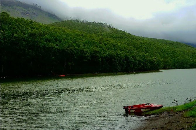Munnar Site-seeing Tour - Photo Point, a quick opening stop