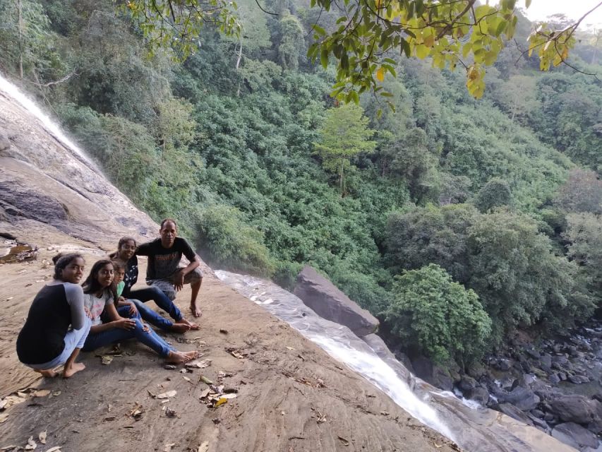 Munnar: Tea Garden and Elephant Safari Trip by 4x4 - What this Munnar 4x4 day trip is really about