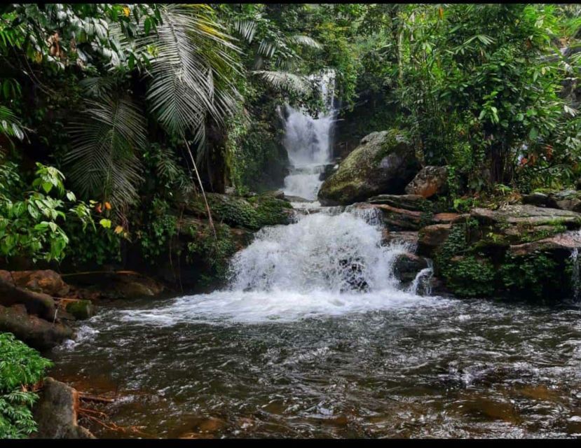 Munnar: Tea Garden and Elephant Safari Trip by 4x4 - Tribal village visit and respectful conduct