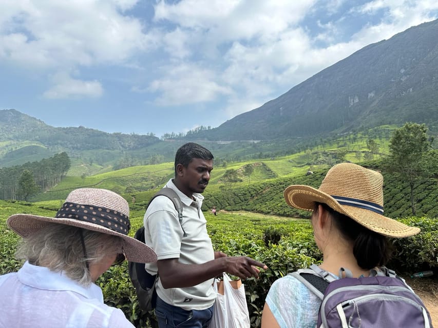 Munnar: Tea trail, Tea Factory, and Tea Tasting Tour - Is $13 good value for three hours?