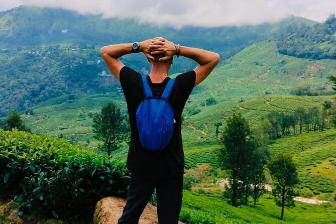 Munnar Tea Trail Tour , Tea factory visit & Tea Tasting - Chokramudi Peak and Idli Hills views