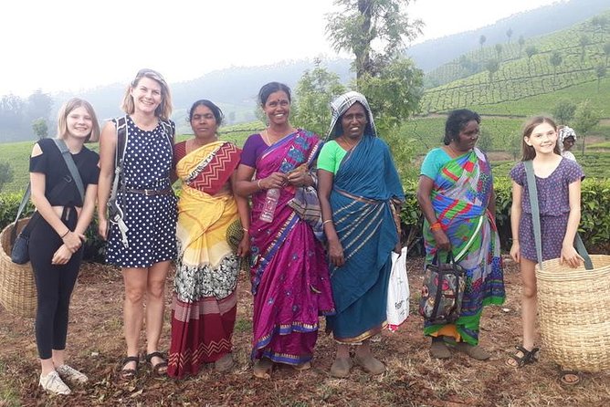 Munnar Tea Trail Tour with Factory Experience ( By Munnar Info) - Tasting several teas at the end