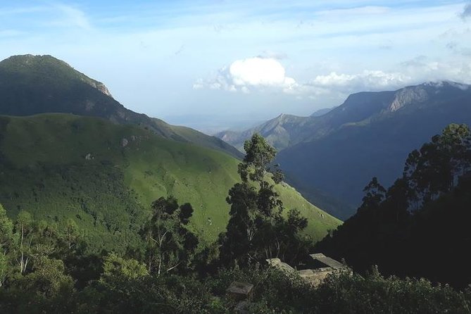 Munnar Tea valley Tour ( By Munnar Info) - KFDC Floriculture Centre and the Rose Garden
