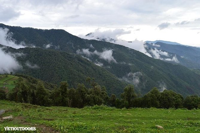 Naag Tibba Trek - Three hours through forest to the first camp