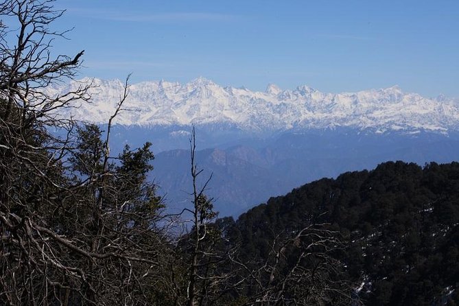 Naag Tibba Trek - Dinner, tents, and the value of carrying less
