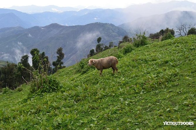 Naag Tibba Trek - Starting at Pantwari after the journey from Rishikesh