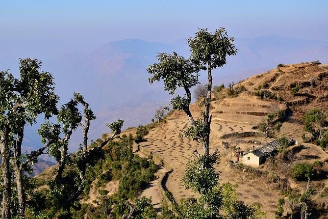 Nag Tibba 2 Days Trek (Pantwari to Pantwari) - Day Two: Nag Tibba Peak and the Big Mountain Views