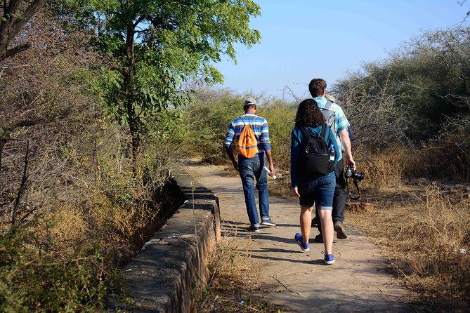Nahargarh Water Walk - Guided 2-Hour Heritage Tour in Jaipur - Why Jaipur’s water story matters