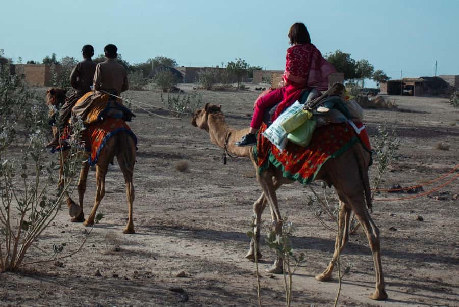 Nomadic Non-Touristic Overnight Camel & Desert Safari Tour - Sunrise, breakfast, and the ride back