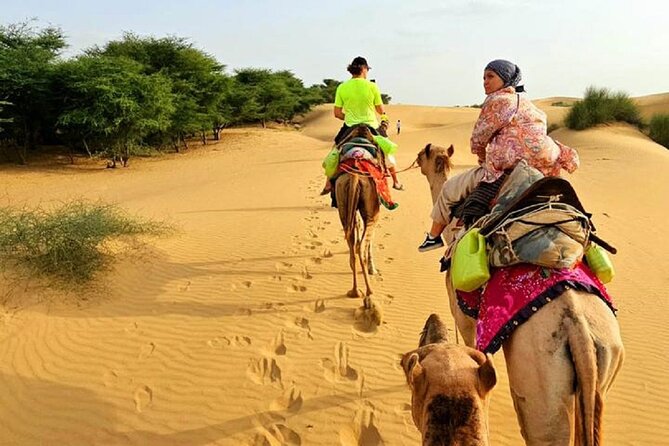 Nomadic Non-Touristic Overnight Tour & camel Safari - Five details that shape the experience