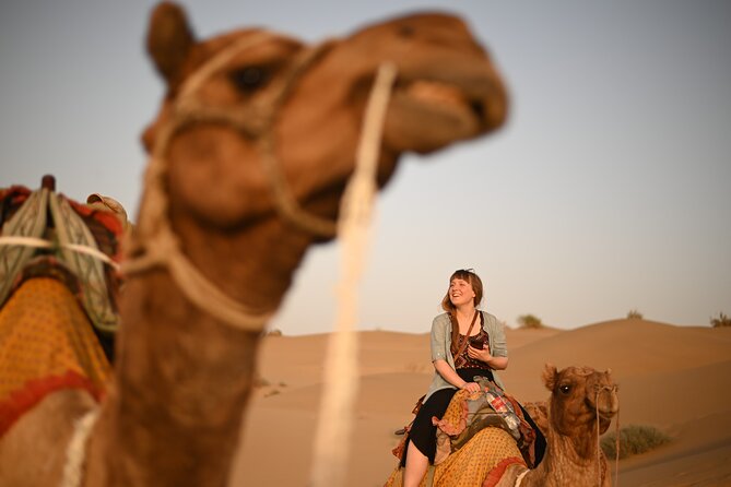 Non-Touristic Overnight Camel Safari with Stargazing Hidden Tour In Desert - Sunset, campfire dinner, and a night without a tent