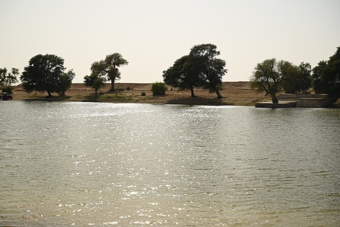 Non-Touristic Overnight Camel Safari with Stargazing Hidden Tour In Desert - Stargazing in the Thar Desert
