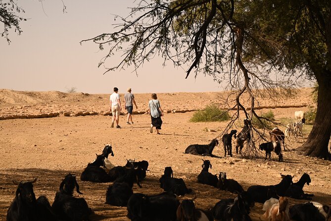 Non-Touristic Overnight Camel Safari with Stargazing Hidden Tour In Desert - Food and hospitality from The Thar Saga team