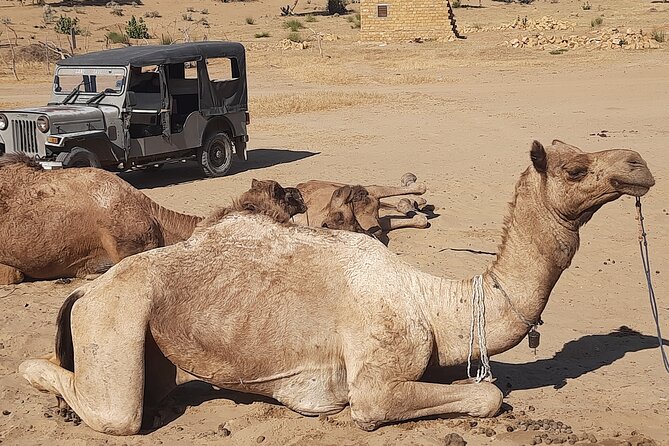 Off the beaten track overnight Camel Safari Tour Jaisalmer - Why this Jaisalmer safari feels different