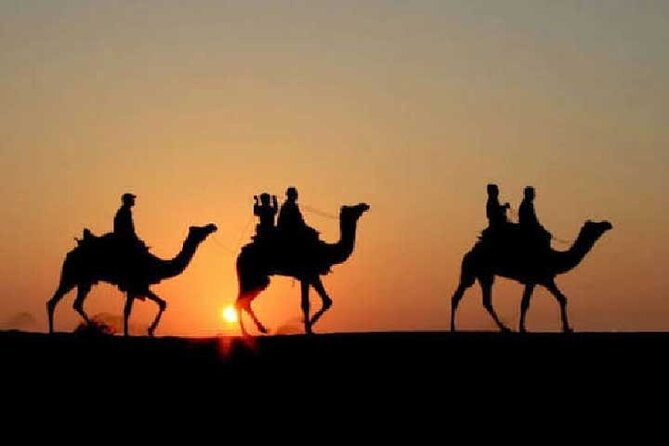 Overnight Camel Safari - Key points at a glance