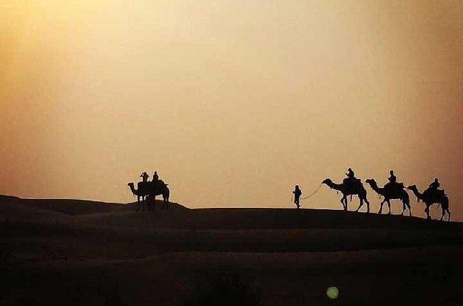 Overnight Camel Safari - Sleeping under the stars