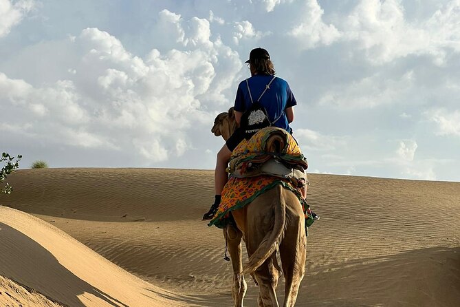 Overnight Camel Safari in Thar Desert - Key points to know before booking