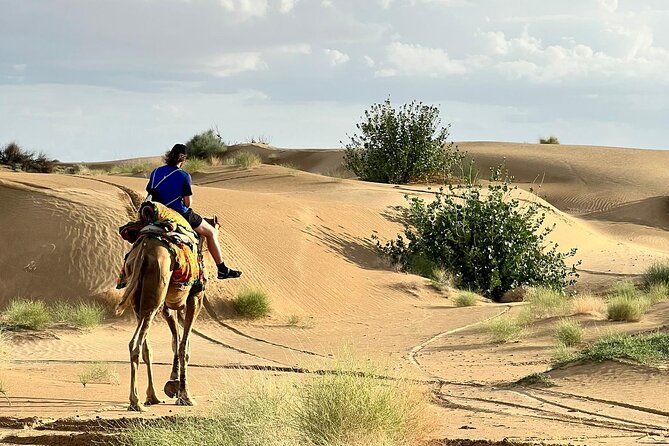 Overnight Camel Safari in Thar Desert - Leaving Jaisalmer for the open desert