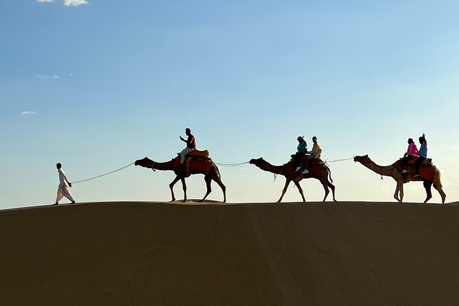 Overnight Camel Safari in Thar Desert - Sleeping under the stars, not inside a tent