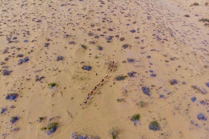 Overnight Camel Safari - Sleeping under the Stars - Key details to know before you book