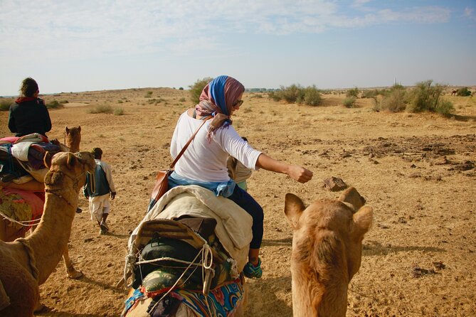 Overnight Camel Safari - Sleeping under the Stars - Leaving Jaisalmer at 1:30 PM