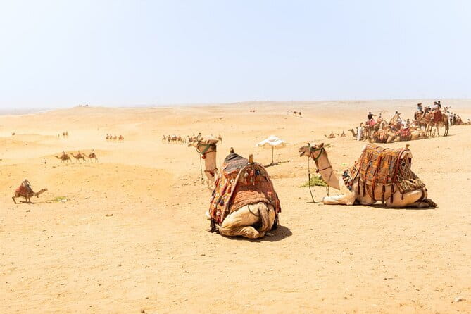 Overnight Camel Safari Tour - Returning to Jaisalmer by jeep