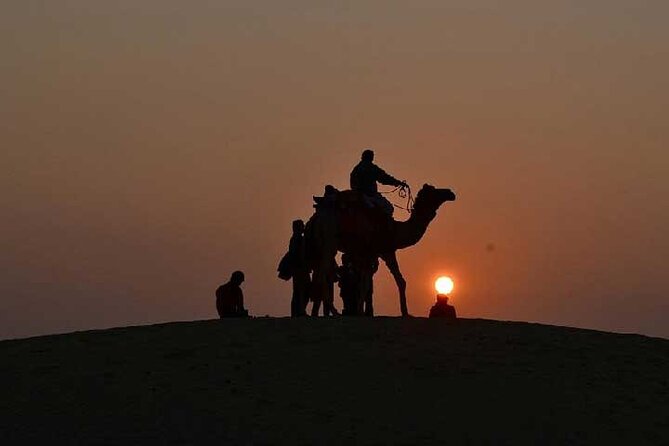 Overnight Camel Safari - The abandoned village and natural pond