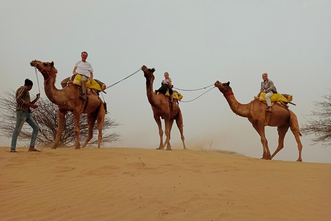 Overnight Desert Stay with Camel Safari and Homemade Food - OM - Bonfire, Chai, and a Wood-Fired Rajasthani Dinner