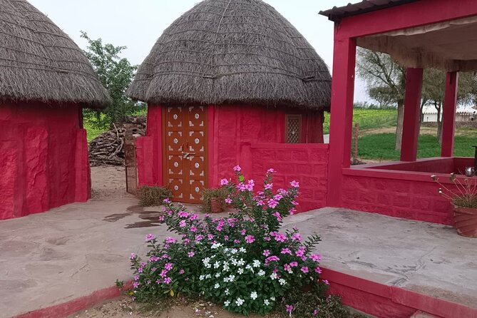 Overnight Desert Stay with Camel Safari and Homemade Food - OM - Sunrise Camel Safari Across the Golden Dunes