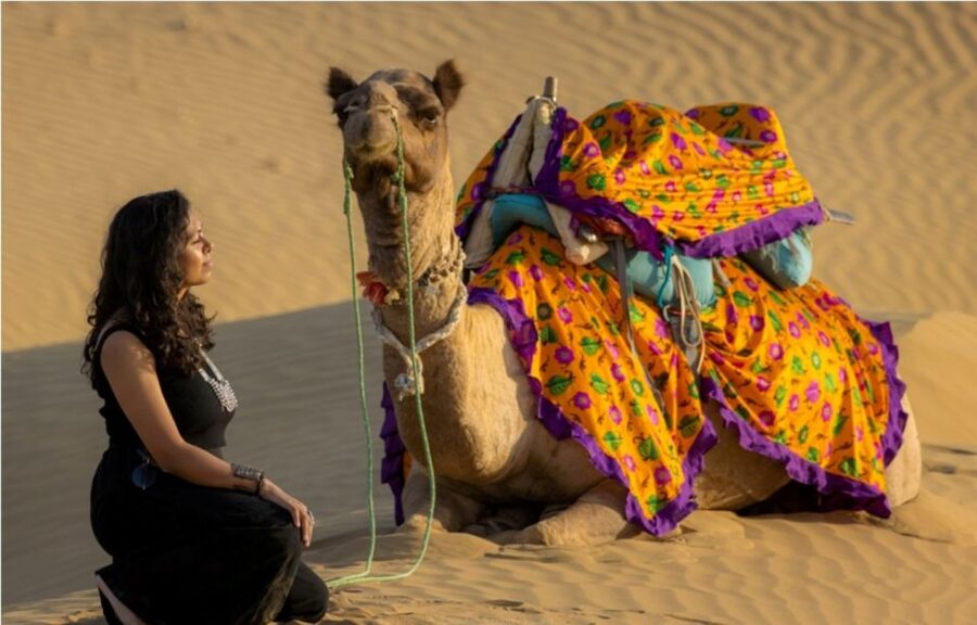 Peeps Billions of Star Experience with Desert & Camel Safari - Why this $33 desert night offers good value