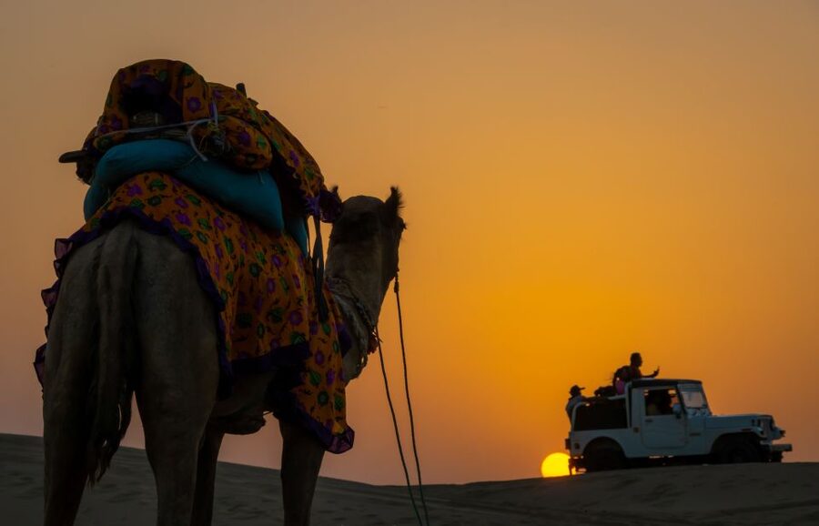 Peeps Billions of Star Experience with Desert & Camel Safari - Sleeping beneath the stars, with very few comforts