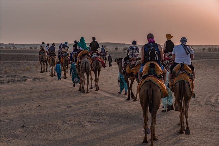 Peeps Billions of Star Experience with Desert & Camel Safari - Marvin and the small-group atmosphere