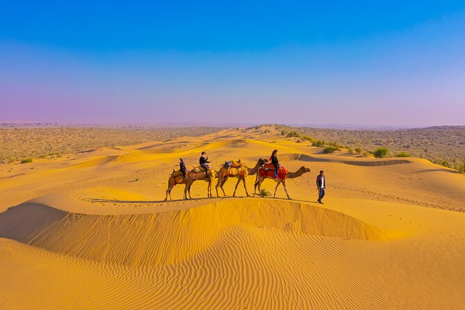 Pleasant Non-Touristic Overnight Camel Safari (From 2:00 PM to Approx. 10:30AM) - Key points to know before booking